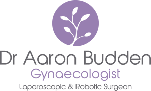 Dr Aaron Budden, Gynaecologist, Laparoscopic & Robotic Surgeon
