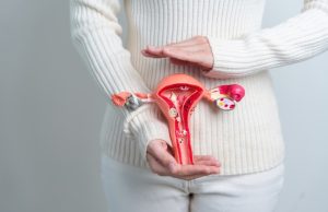 Woman holding an anatomical model of the uterus and ovaries in front of her abdomen